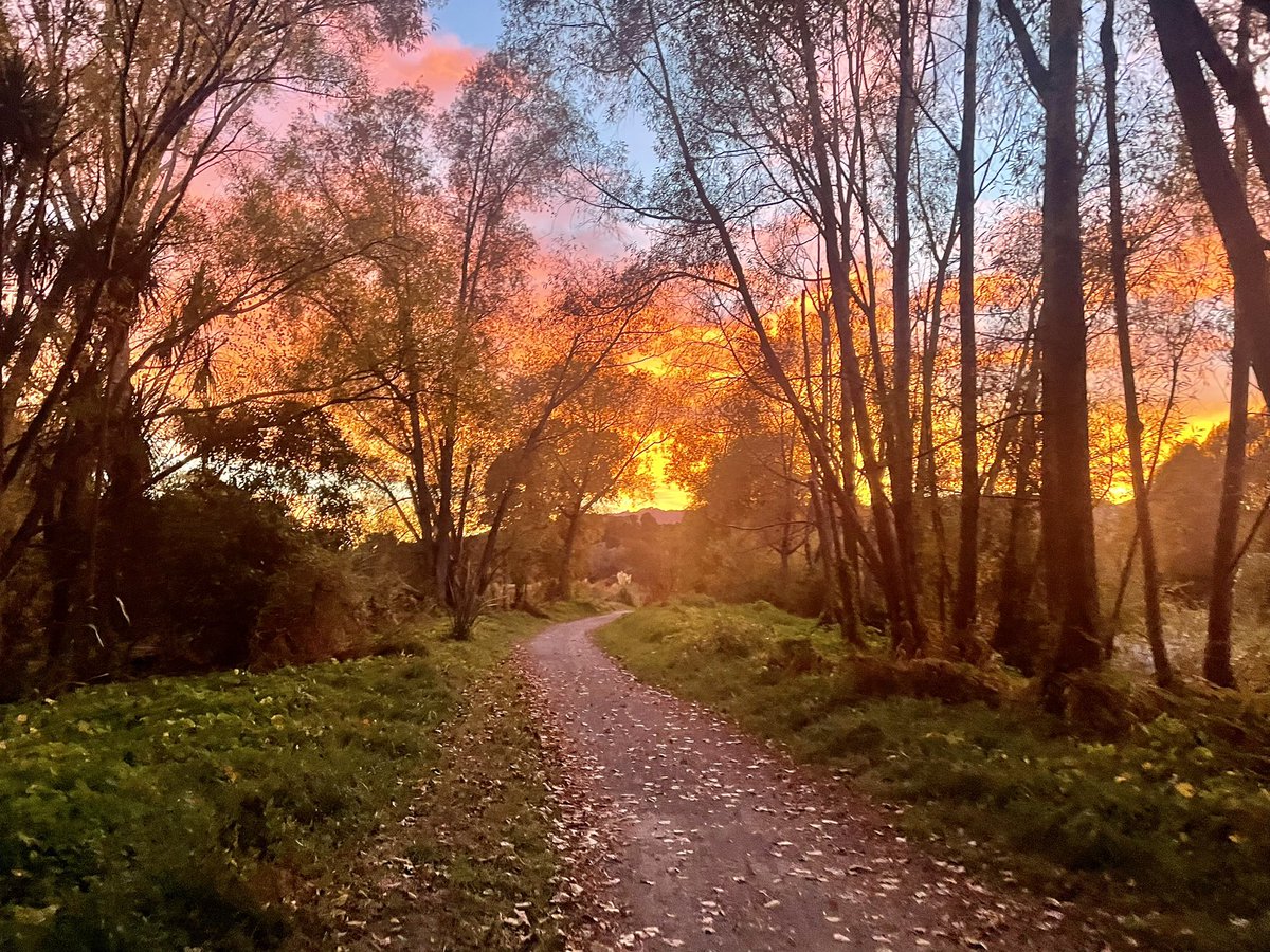 GerrieGreyling's tweet photo. #Autumn #Sunrise #Kapiti #NewZealand 🇳🇿 https://t.co/awUHu61rJ5