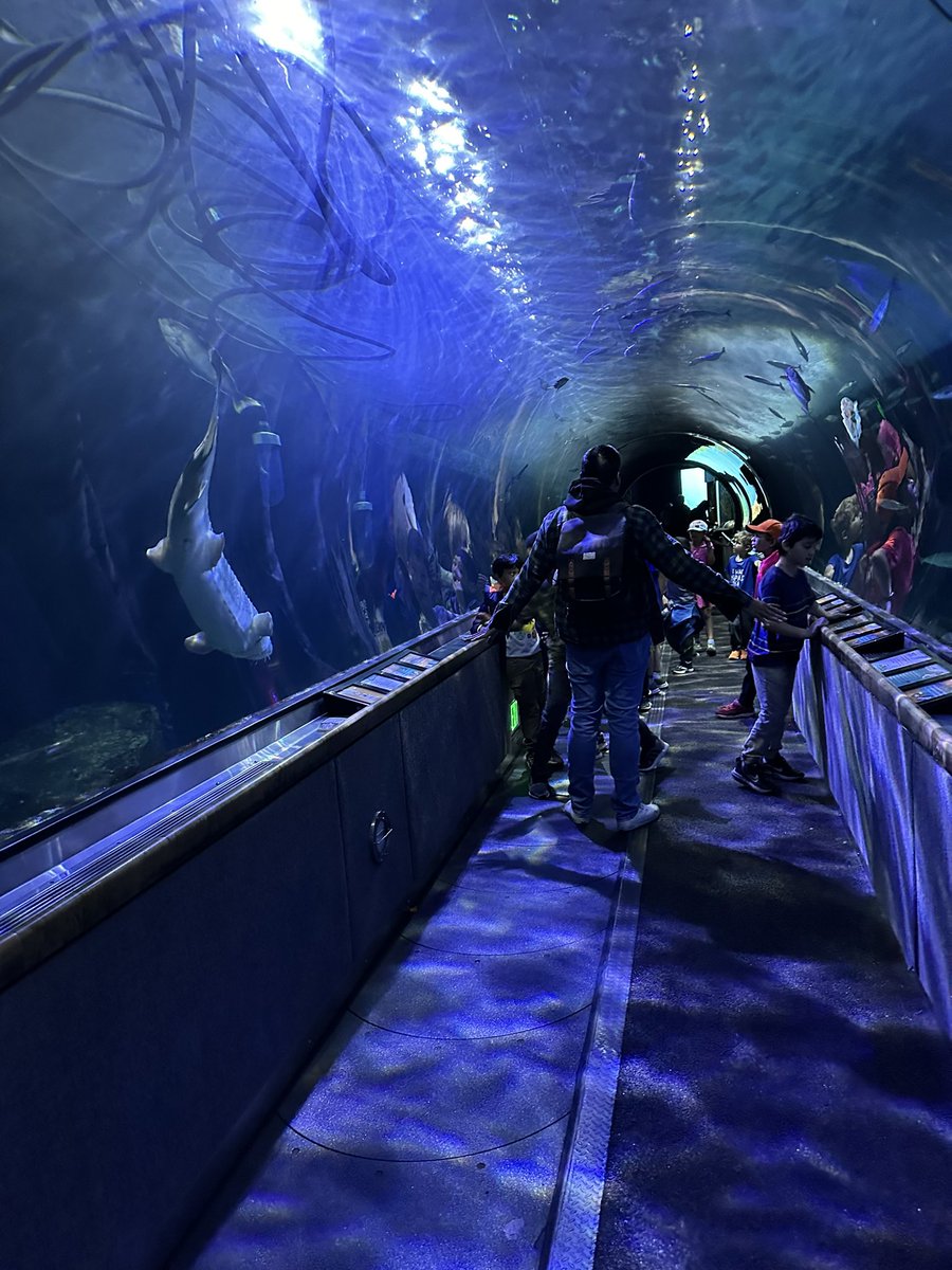 Footsteps Spring Break field trip to Aquarium by the Bay
