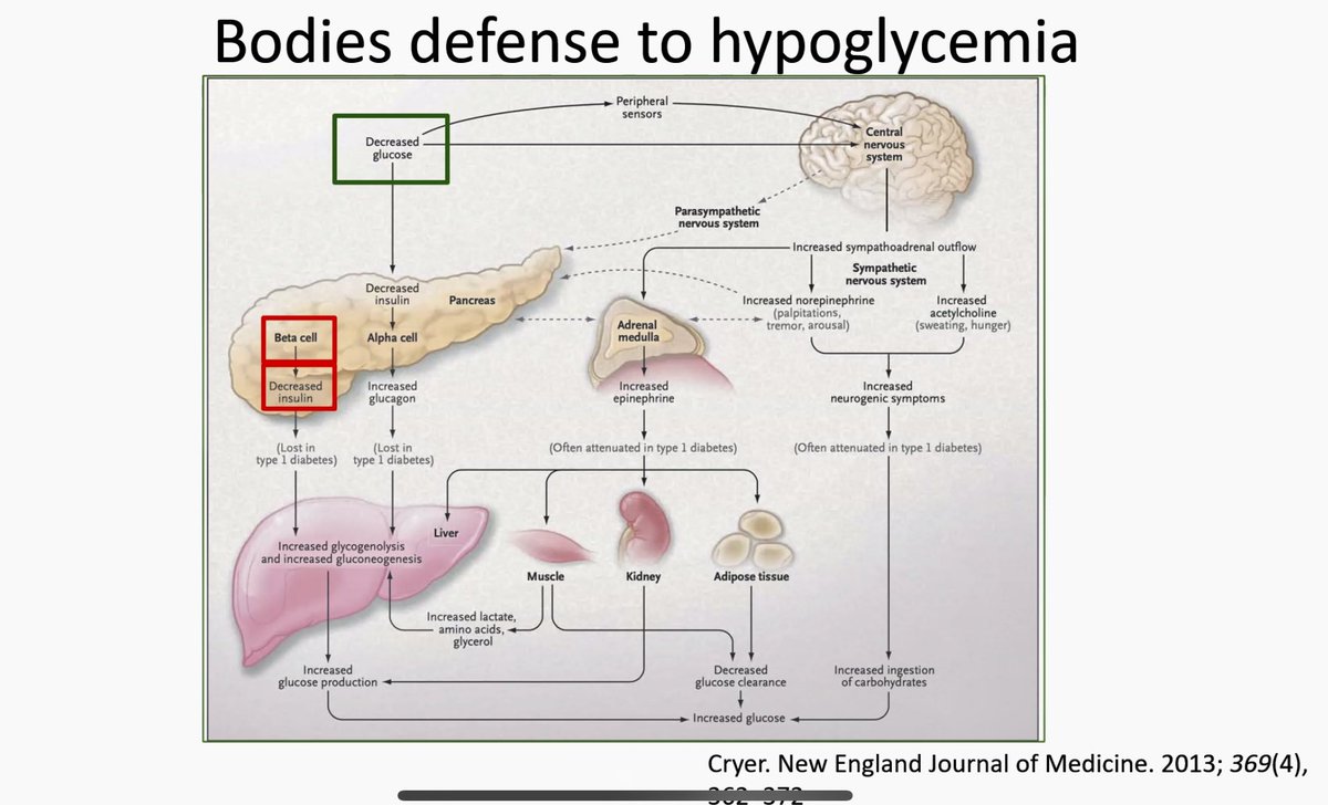 Endocrine Grand Rounds: Dr Michaela Barbera, 1st year fellow, presented a comprehensive discussion of #hypoglycemia unawareness and why and how it happens to those with insulin dependent #diabetes.
