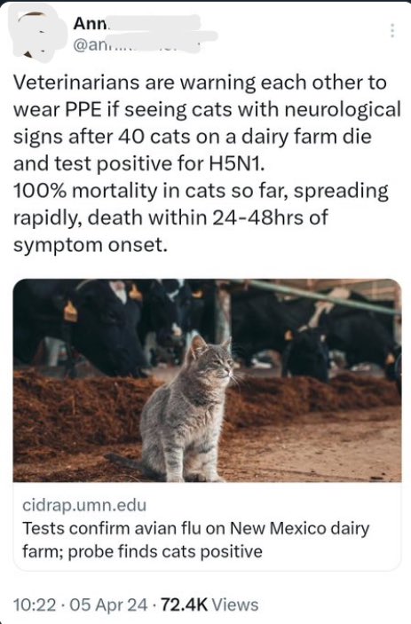 😿 Fuck cats are taking a huge hit from bird flu. 24-48 hrs is consistent w/everything I’ve read

Tagging hoping to catch the attention of rescuers #cats #adoptdontshop #spayneuter #barncats #hsuc #humanesociety #aspca #CatsAreFamily #CatsofTwittter #kitty #kittens #minipanther