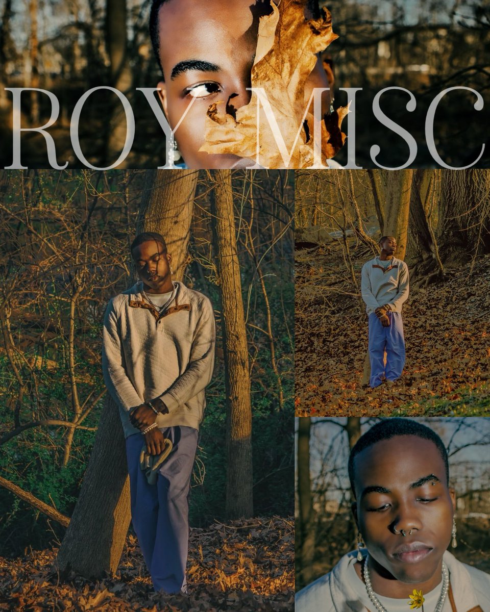 ROYMISC1 tweet picture