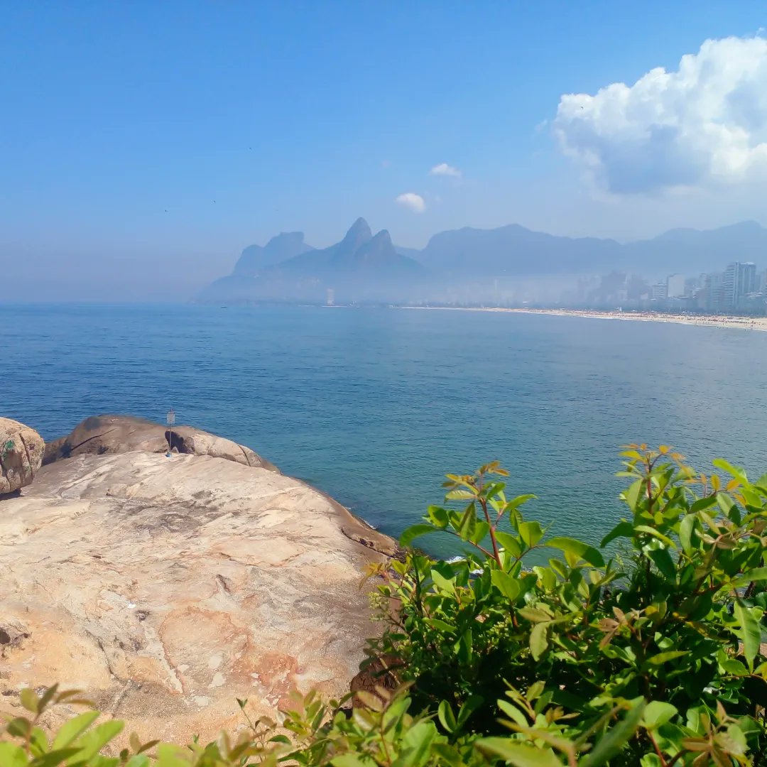 Javier Gamino Sánchez tweet media