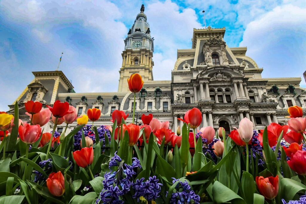 Tulips are in full bloom at Dilworth Park in front of Philadelphia City Hall. #visitphiladelphia #visitphilly #tulips #tulips🌷 #dilworthpark #centercityphiladelphia #centercityphilly #centercitydistrict #canong5xmarkii #canon #flowers #philadelphiacityh… instagr.am/p/C5mAPixJPqX/