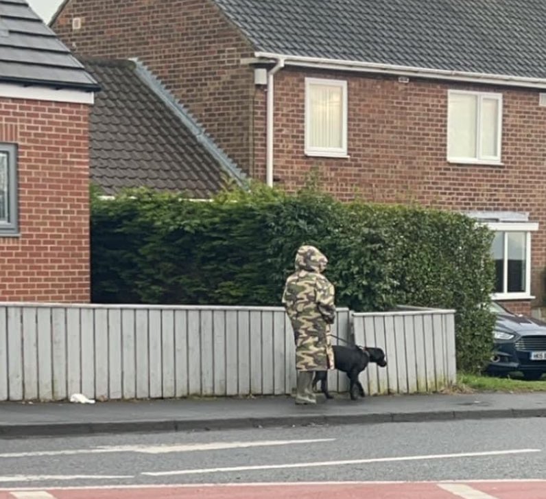 Poor dog out walking all alone