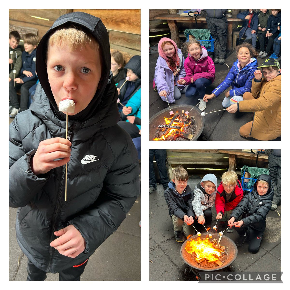 We had fun this morning with the Bushcraft and roasting Marshmallows!