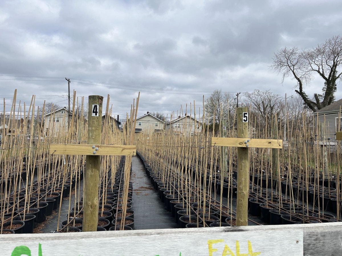 A few weeks ago, our staff had the chance to visit the @Green_Columbus tree nursery! Established in 2019 with the help of American Forests, they grow 3,000 trees annually and host free giveaways each October.