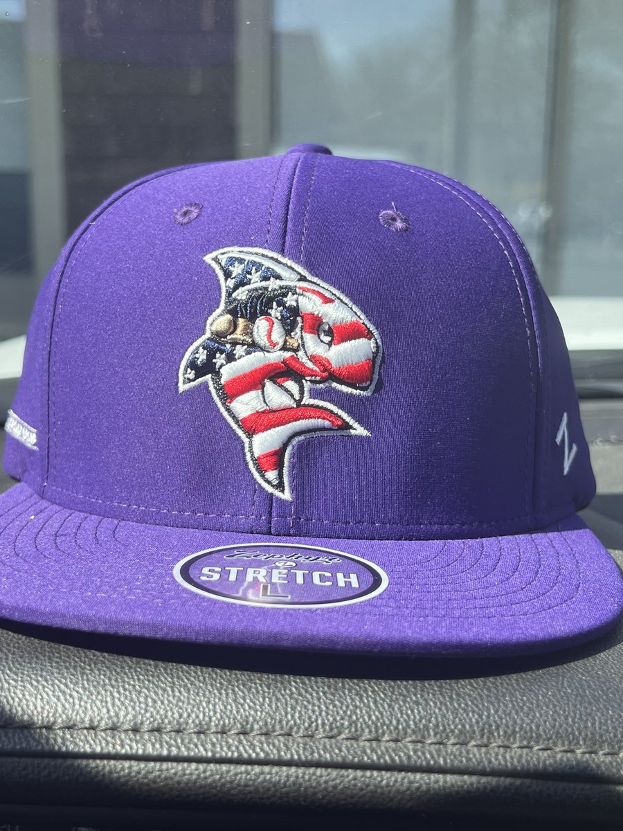 Sharks 2024 Alternate hat by @zephyrhats @TheNECBL