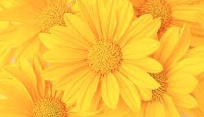 Salut Baye Cheikhouna!
Jëuleul sa ndewneul👋🏽
#CollageEidAlFitr2024
#SunuSelfieKorite2024