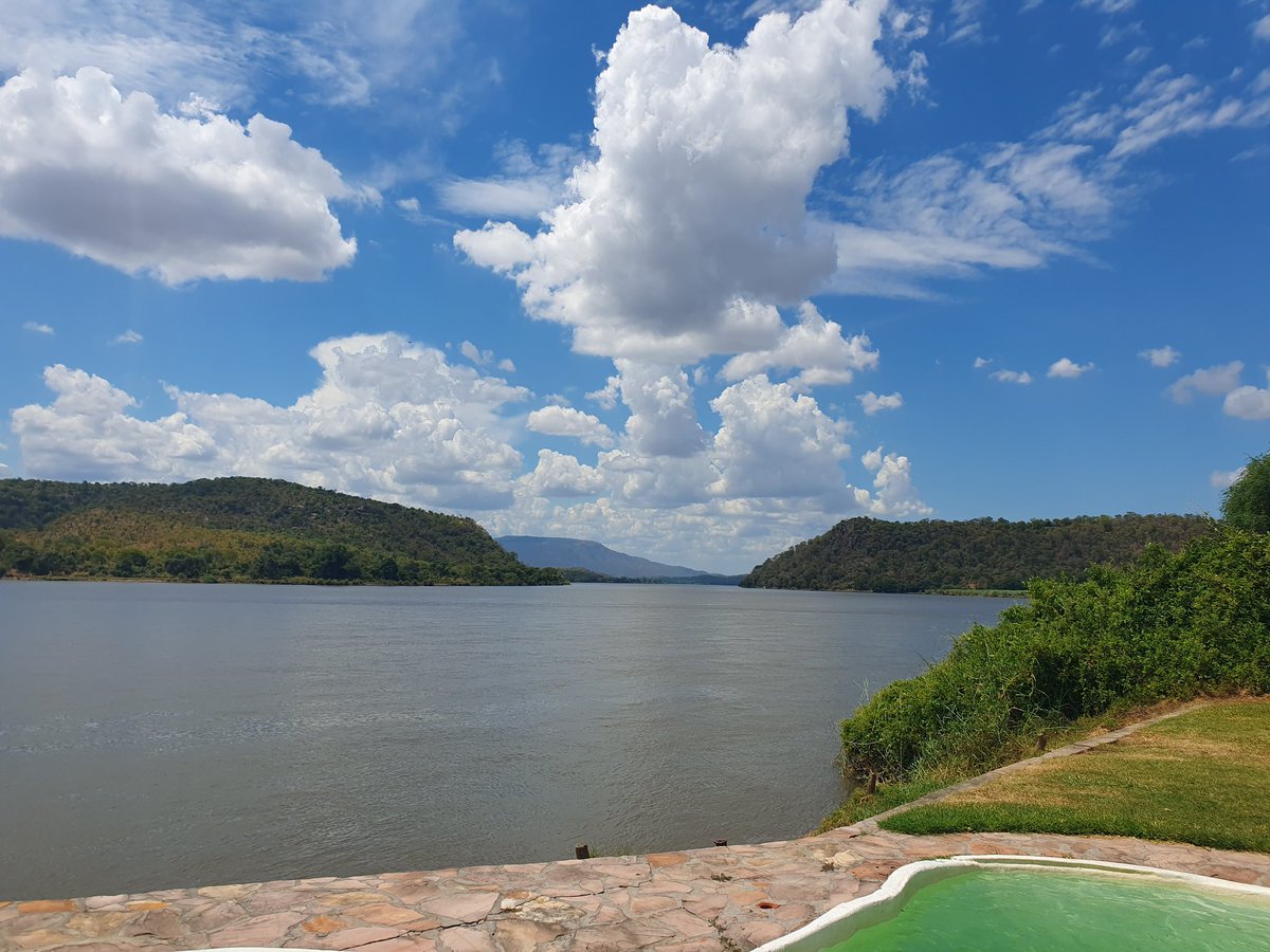 Zondo T. Sakala tweet media