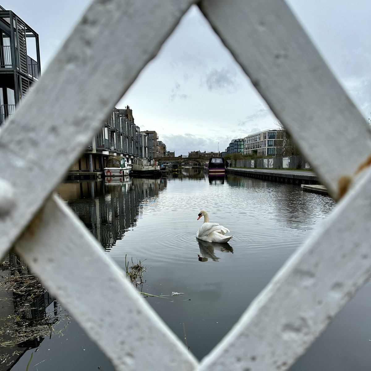 Very interesting visit today with <a href="/WWFScotland/">wwfscotland 🌍</a> to a remarkable <a href="/LarHousingTrust/">Lar Housing Trust</a> affordable housing project in Fountainbridge that is using <a href="/KensaHeatPumps/">Kensa</a> &amp; <a href="/SunampLtd/">Sunamp Ltd</a> technology to provide renewable heating in both a new building &amp; a converted old church. Relevant for tenements.