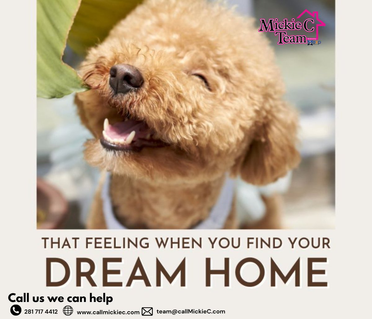 Looking for your dream house? Call us!

Contact us:⁠
281 717 4412⁠
callmickiec.com
team@callmickiec.com
⁠
#texasliving #movetotexasfromcalifornia #relocatetotexas
#Texasyourstate #katytxhouses #texashomesforsale #texasrealty #ilovetexas #texaslife #texasrealestate