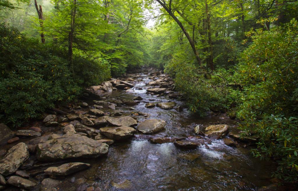 We hold free quarterly webinars focused on communicating research activities + results re: the chemical, physical, and biological integrity of water resources. Explore the topics of upcoming webinars + view the archives of past webinars here: epa.gov/water-research… #EarthMonth