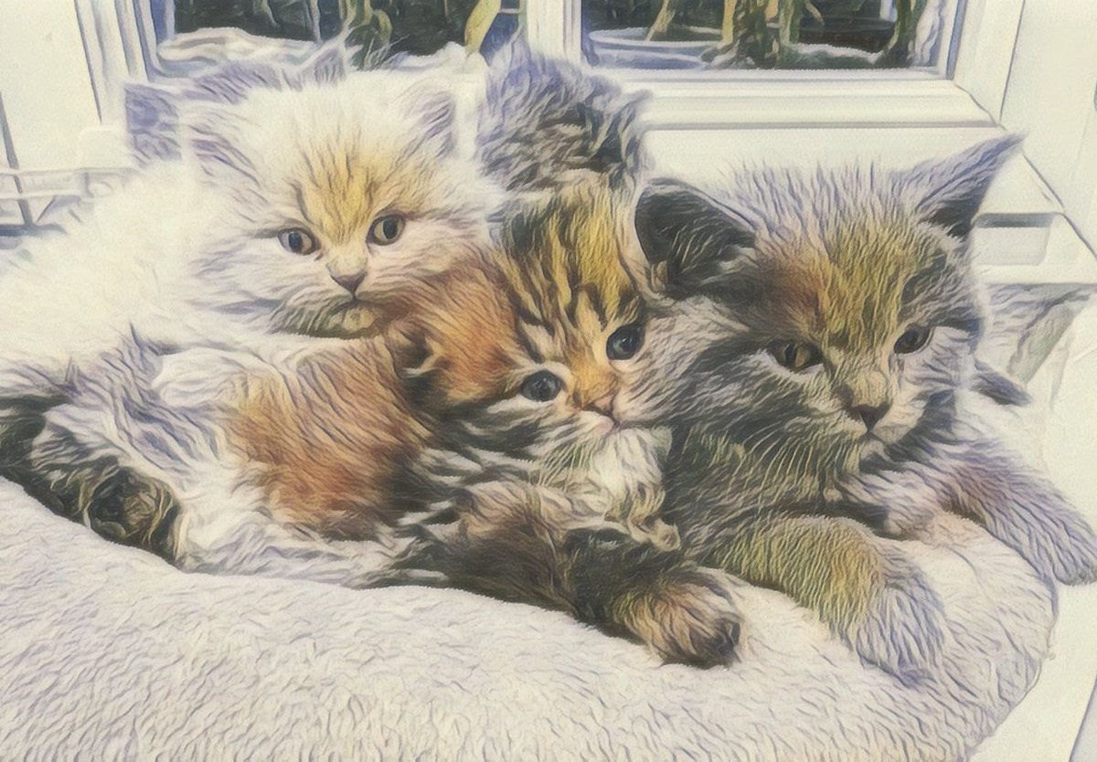 BindiCarina's tweet photo. Un peu de douceur...#chat #chaton #kitten #paintings #pets https://t.co/LRcHgrfA4r