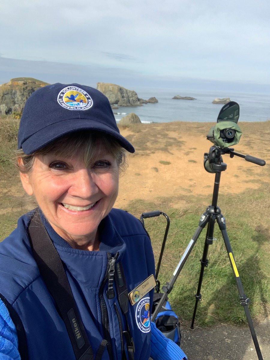 A big shout out to volunteer extraordinaire, Carol Maude! In 2022, she began volunteering for Oregon Coast National Wildlife Refuges as a trail steward. Carol loves showing visitors the amazing birds and wildlife that call Oregon Islands home. 📸: USFWS #NationalVolunteerMonth