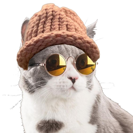 CatDc39641's tweet photo. #DCCAT https://t.co/EByY6dibrv