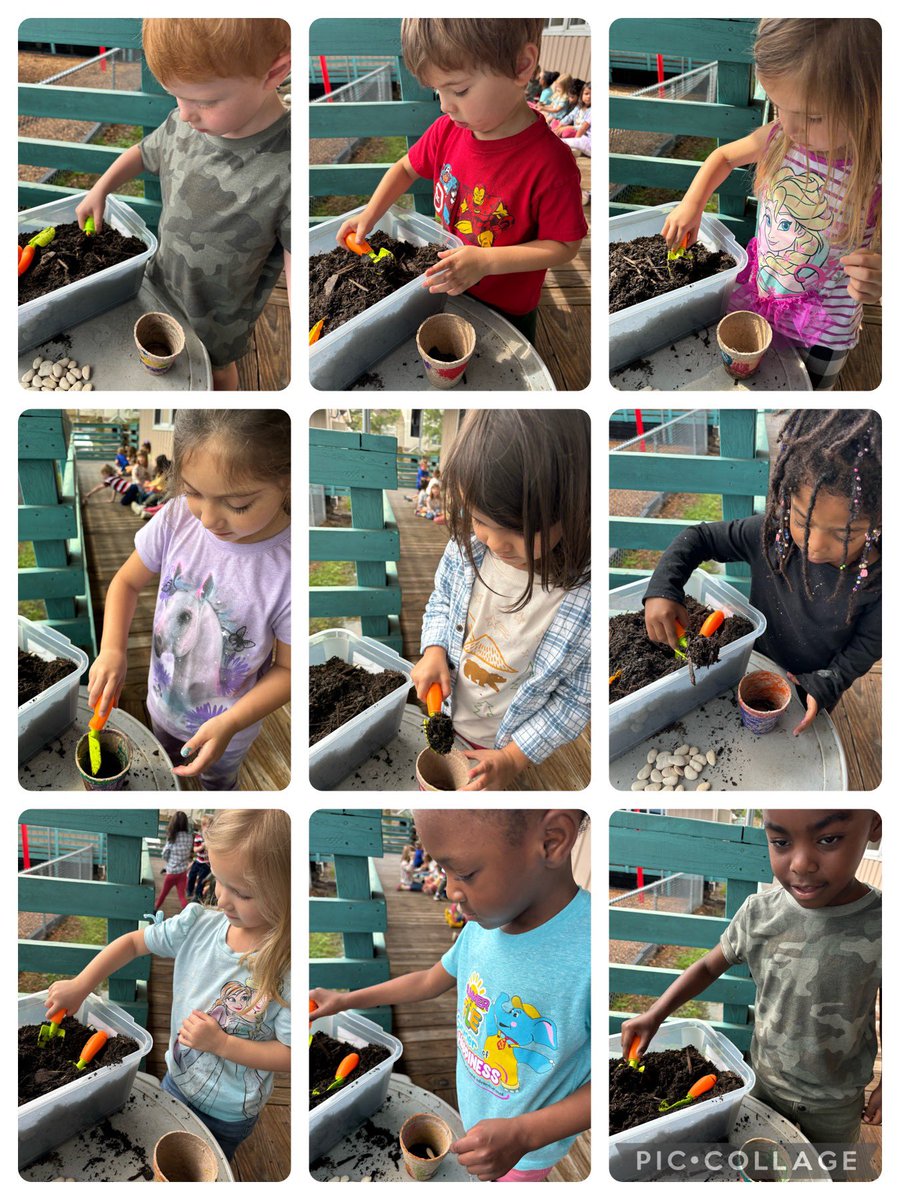 Work Together Wednesday! We joined forces , cleaned out our garden & planted our seeds! Can’t wait to watch them bloom! 🌸 #PreK #MrsC #BarkerELC #WOTYC #strongertogether #STEM