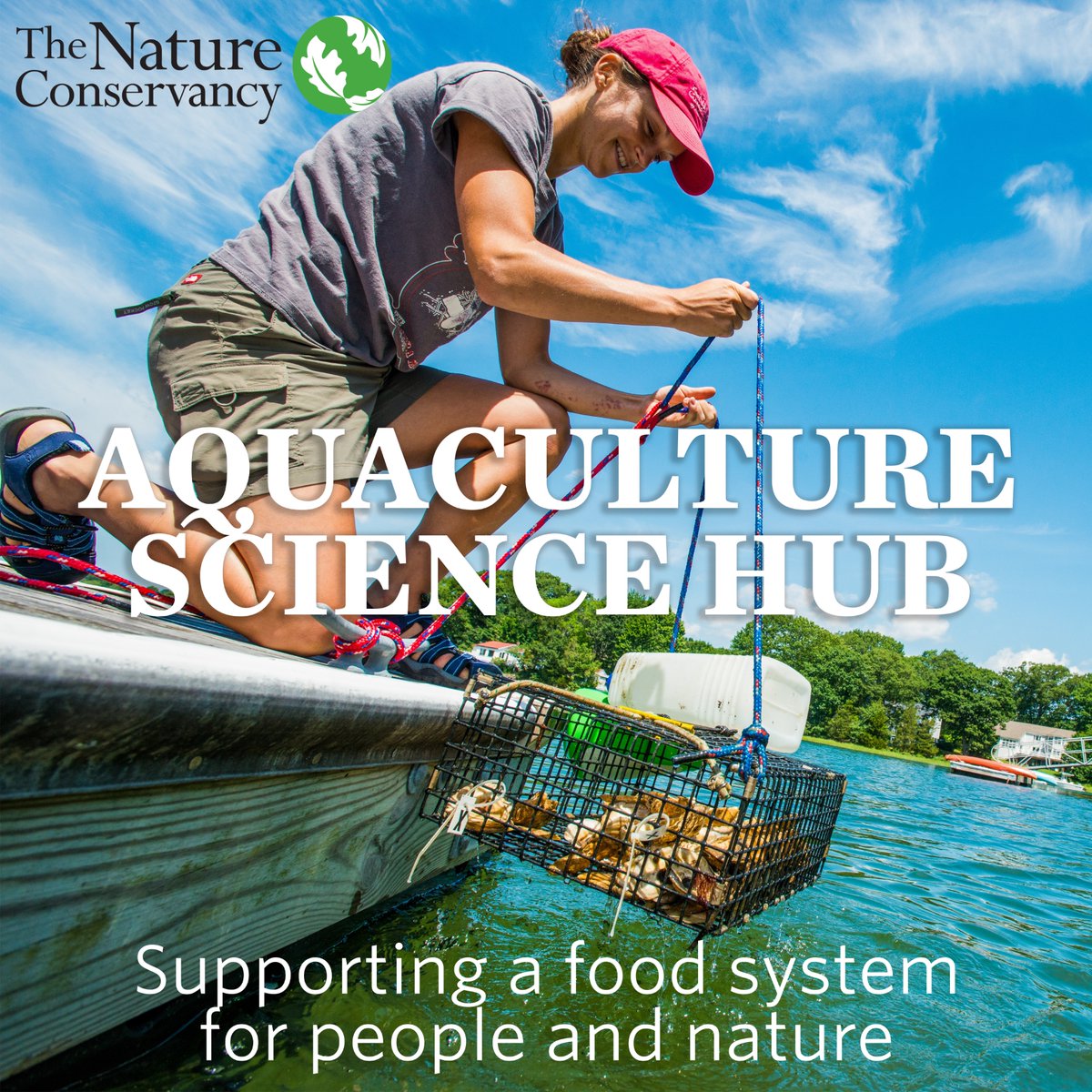 A nature-positive future for aquaculture is possible, with the right data and tools. The new Aquaculture Science Hub is a one-stop shop for the scientific resources to support the best outcomes for coastal communities and ecosystems around the world. aquaculturescience.org