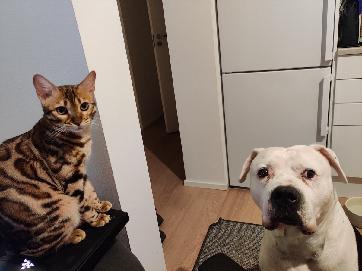 Sauli Rinta-aho (@zumpphs) on Twitter photo 