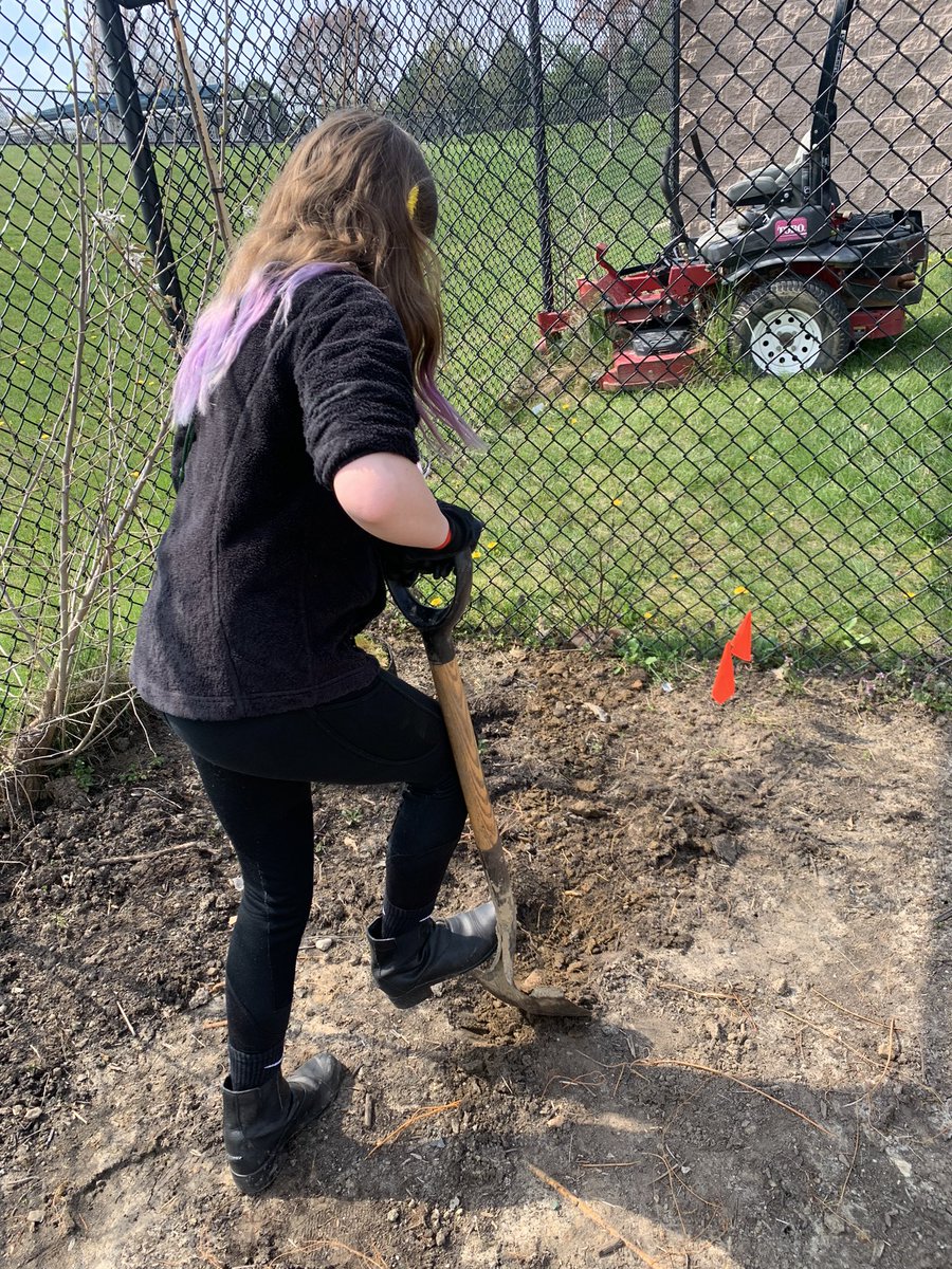 Did you know music helps plants grow?

Thanks for inviting me to help out in the garden today @siegelks01! We had a wonderful afternoon planting trees!