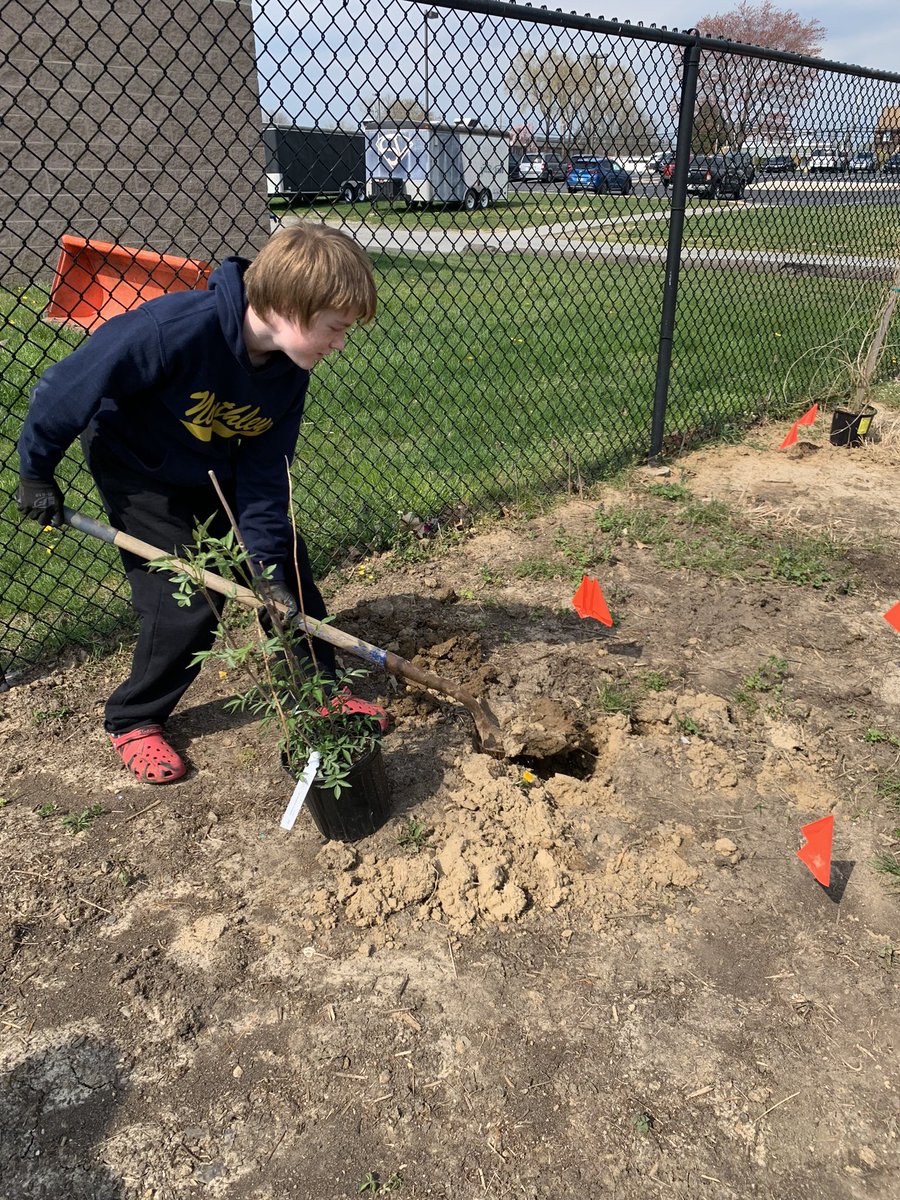 NMSMusic tweet media