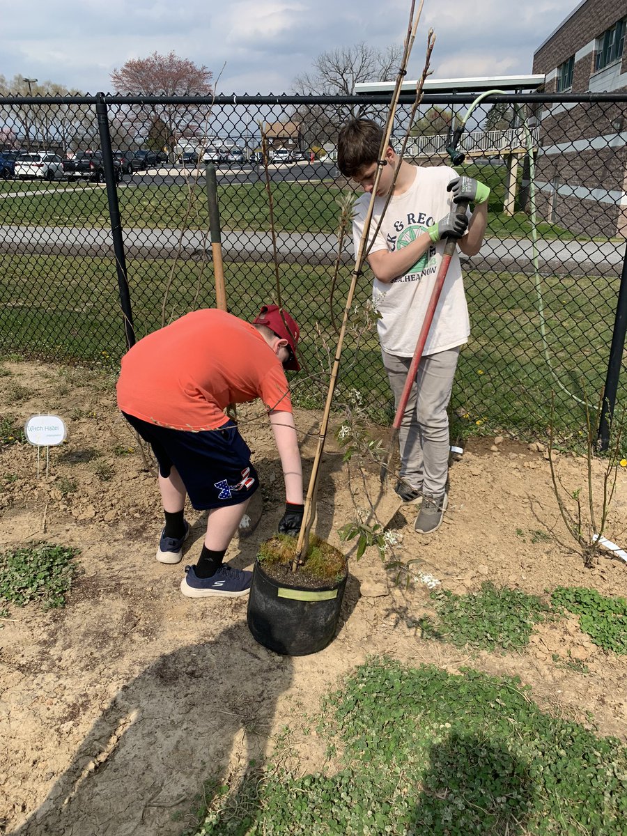 NMSMusic tweet media