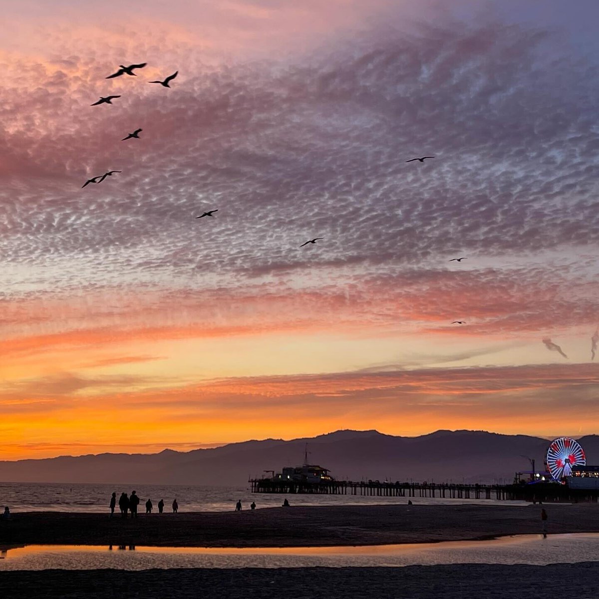 These pier-side sunsets simply can't be beat.☀️ Thank you to @chillkitty on Instagram for sharing these stunning snaps. Use #SeeSantaMonica to share your pics for a chance to be featured on our page! #beach #sunsets #santamonica