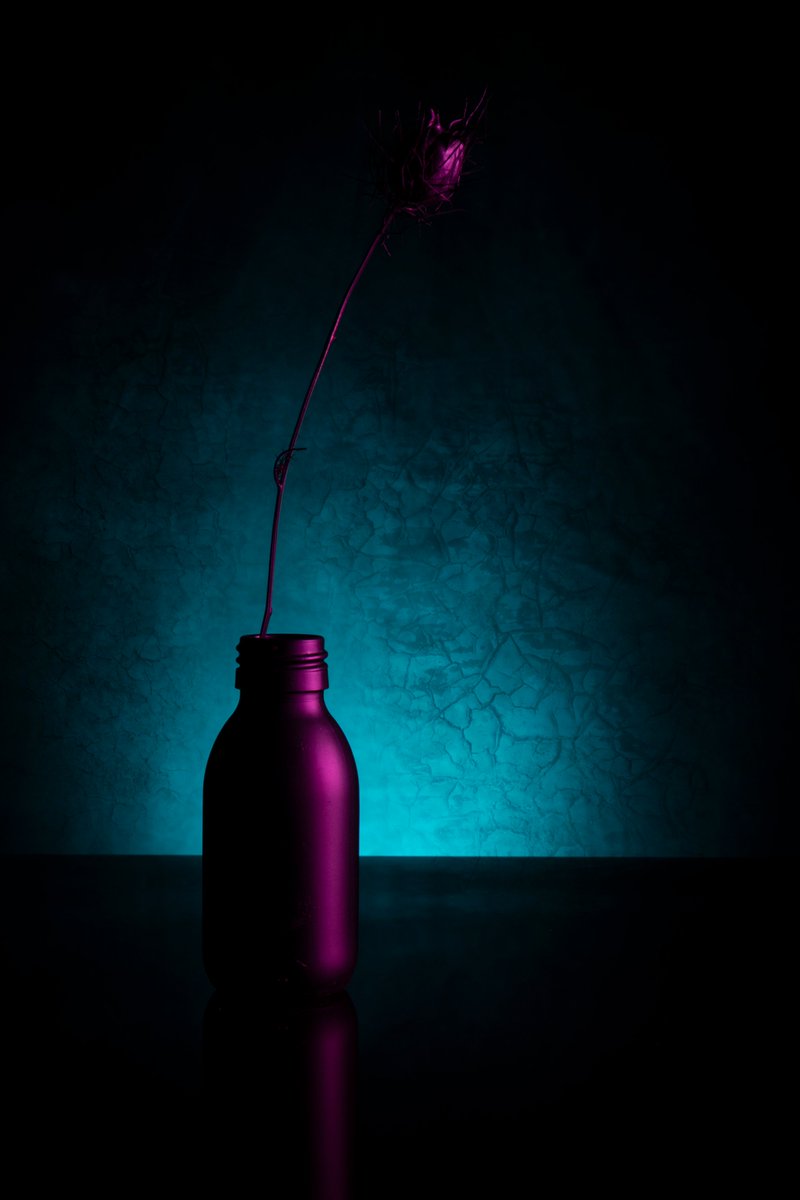 Nigella in a bottle.