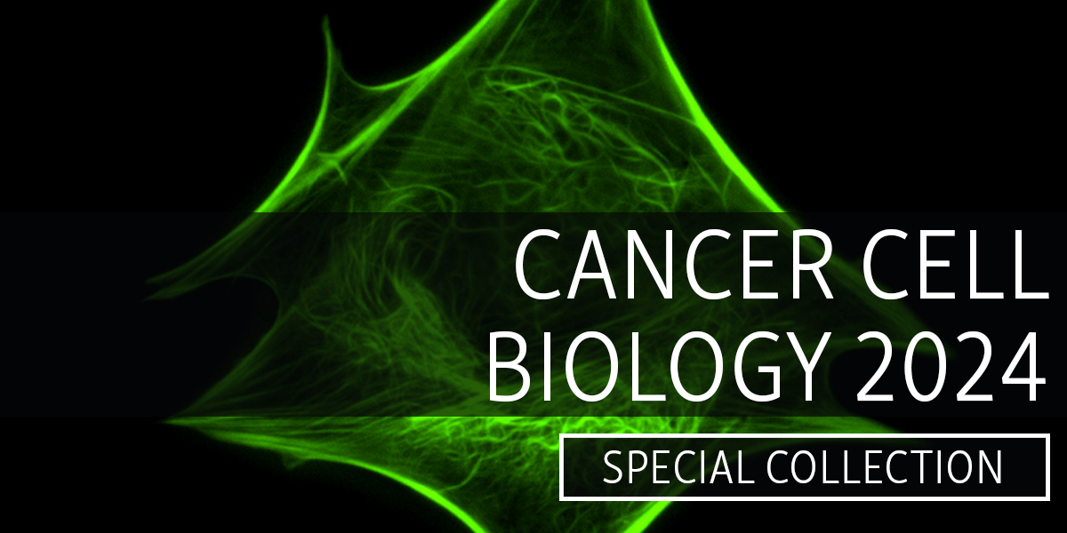 Discover novel cross-talk between TGFβ & HER2 signaling, as well as the mechanisms by which keratinocyte signaling is usurped by melanoma cells to aid their spread, in our new collection highlighting research advances on #cancer #cellbiology ➡️ hubs.la/Q02rzfwk0 #AACR2024