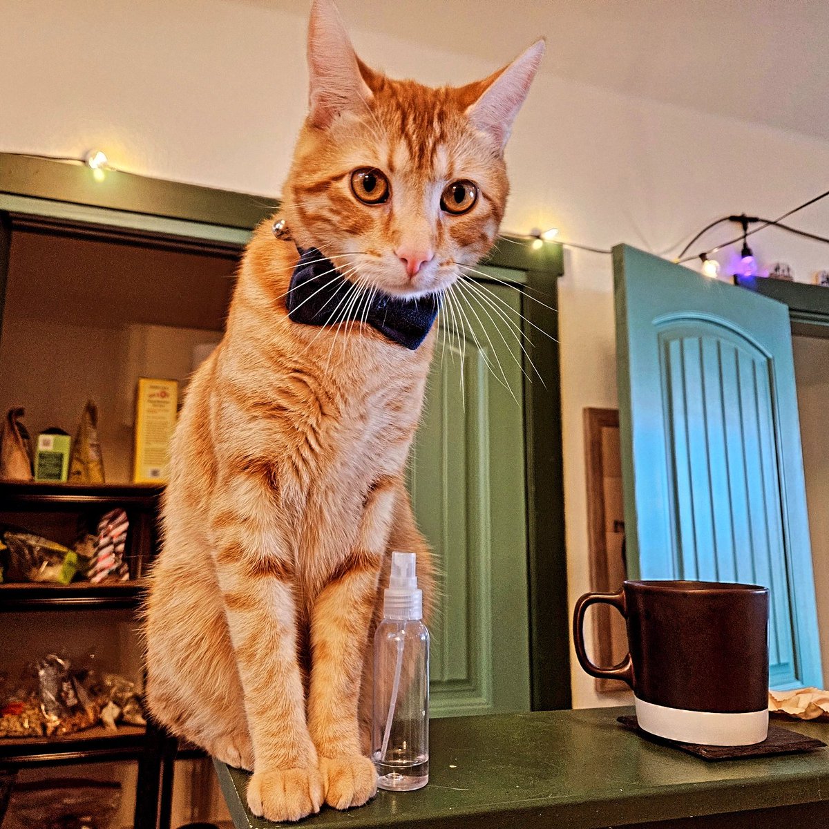 Icepickun's tweet image. Handsome!