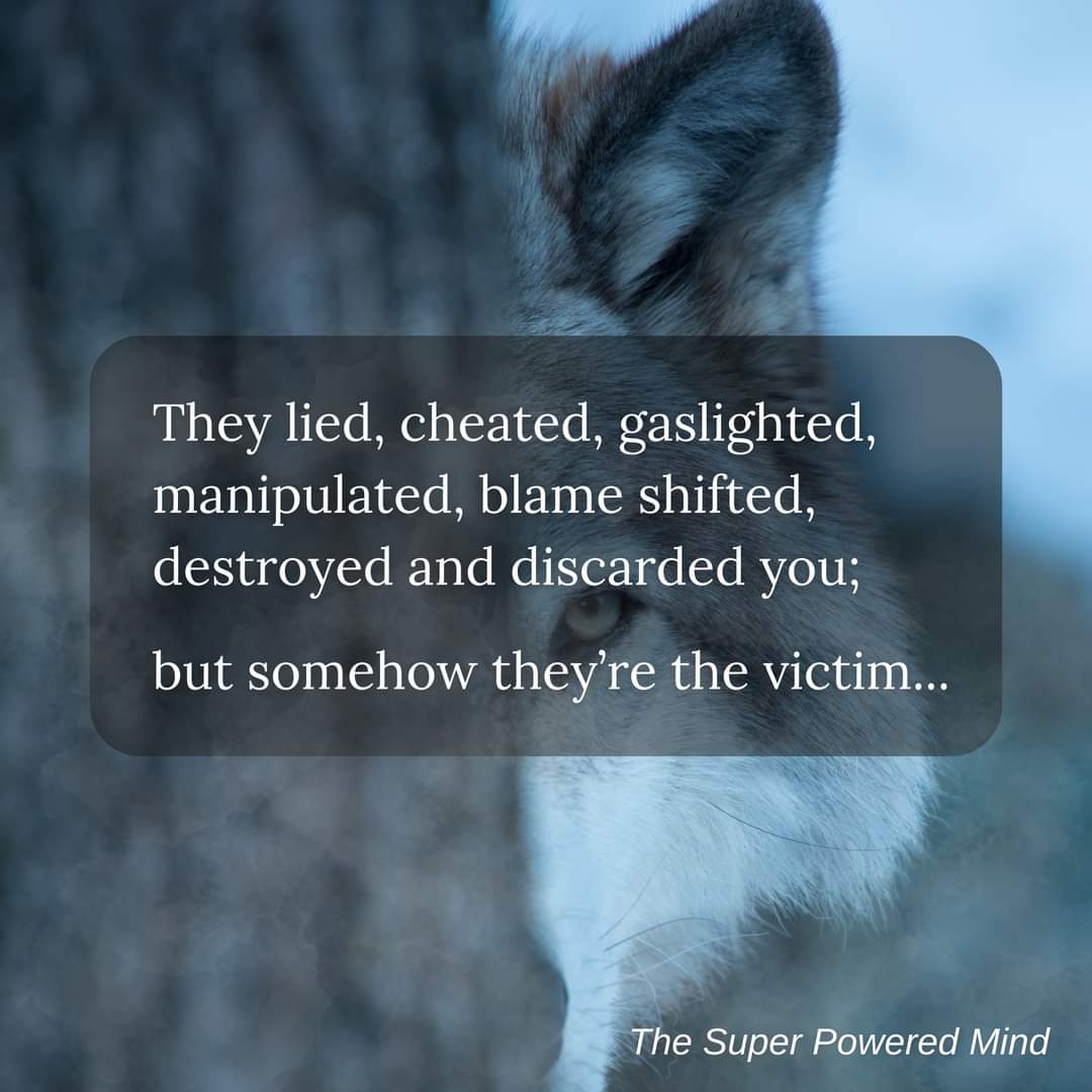 SweetLillyM's tweet image. 