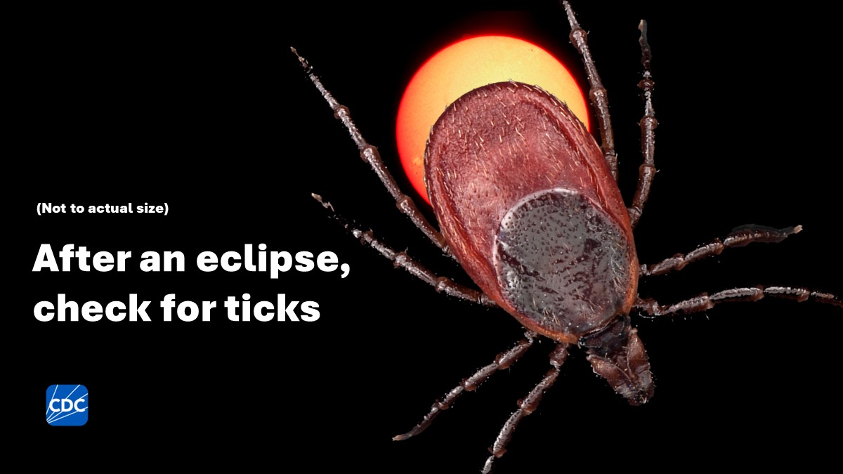 #Eclipse2024 was a special experience! But while you were looking up, ticks might have crawled on you, your family, or pets. Tick bites can make you sick. Check for ticks & if you feel sick within the next few weeks, see your healthcare provider. bit.ly/2GRtOLM