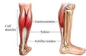 Giannis Antetokounmpo 3/4/24: left Achilles pain likely tendinitis 4/9/24: left calf strain Coincidence? Probably not.