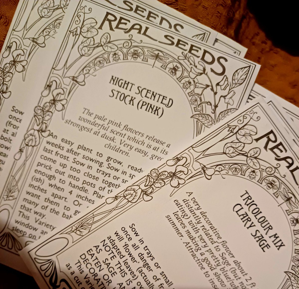 Very impressed with the service and gorgeous seed packets from Real Seeds 😍