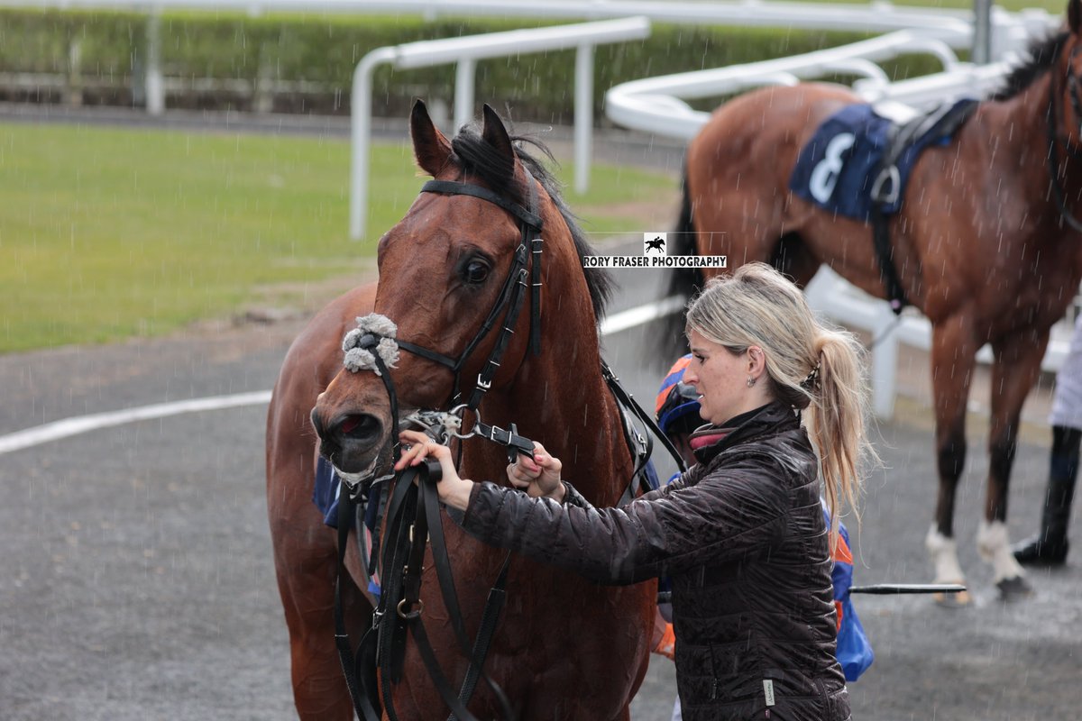 Third at Newcastle on Monday in race six, the class five maiden (1m), ZAIN BLUE (Blue Point x Affability) Trained by @racing_butler, owned by Asaad al Banwan and ridden by @connorbeasley9. Runner up in last year's Convivial at the York Ebor Festival, the most valuable maiden race