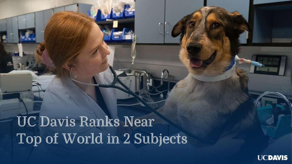 We continue to be recognized for our global leadership in the fields of veterinary science, and agriculture and forestry, in the QS World University Rankings by Subject 2024, released today. Read more about the rankings by visiting ucdav.is/3Q019HQ. #OurUCDavis