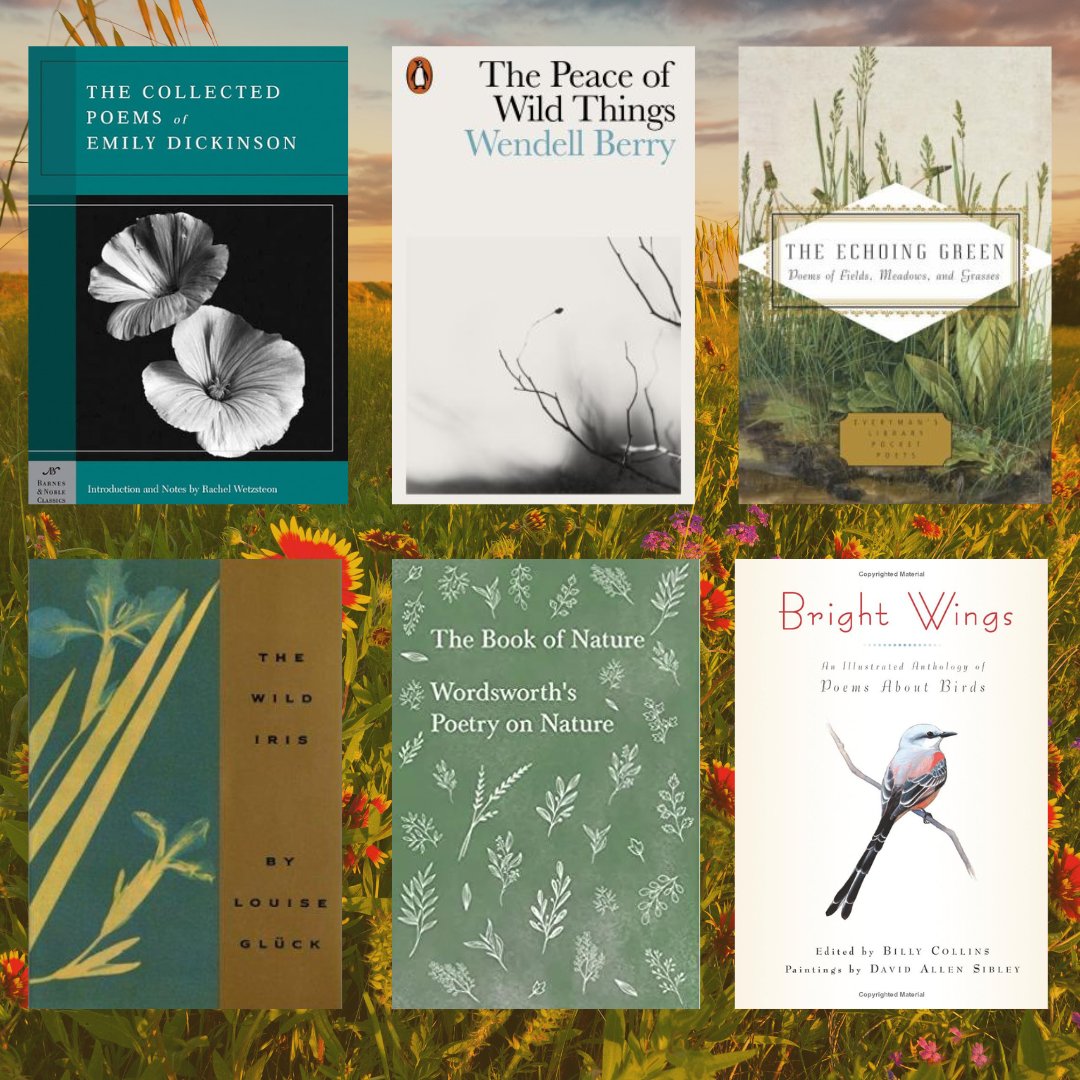 If you are looking for some poetry to read, try one of these! 

#poetry #naturepoetry #nationalpoetrymonth