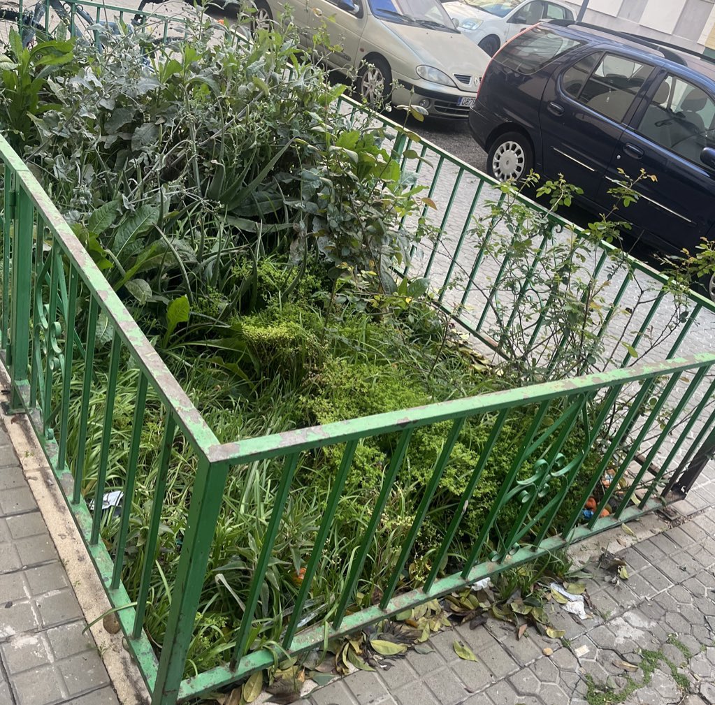 JuliansitoPrez's tweet photo. @jlsanzalcalde @LipasamSevilla Pues pasate por mi puerta, que estamos cansados hasta la saciedad de ir al distrito de san pablo y llamar al 010 durante 2 años y nada , da asco salir y entrar del bloque, sin hablar de las ratas y bichos https://t.co/LZgHAKlr7I