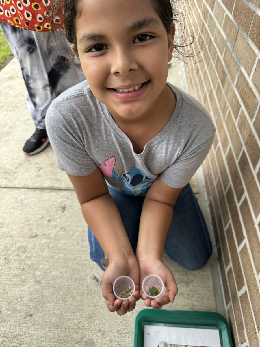 Did you know a ladybug 🐞 will lay about 1,000 eggs 🥚 in her lifetime? 3rd grade students studied the lifecycle of a ladybug and got to see their eggs up close 🔎 @BaneElementary @cdiazcfisd @tipping_sharon @readygrowgarden @CFISDScience @CyFairISD #elementaryscience #gardenday