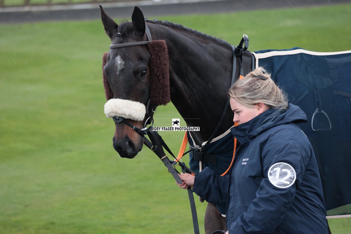 Third at Newcastle on Monday in race seven, division one of the class six handicap (7f), DARKER (Twilight Son x Spinatrix) Trained by @RuthCarr1, owned by the Ruth Carr Racing Club and ridden by Jimmy Sullivan. Now placed twice since joining the yard last year.