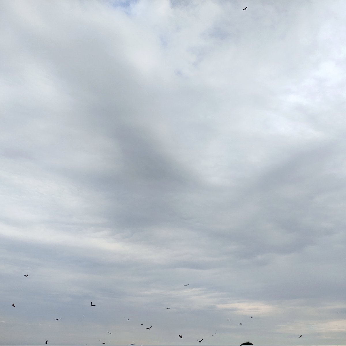 ตอนน้ำท่วม บอกให้เลี้ยงปลา ตอนฝุ่นหนา ดันบอกให้กลั้นหายใจ🍃#แคปชั่น #แคปชั่นเด็ด #แคปชั่นโดนๆ #แคปชั่นเสี่ยว #แคปชั่นอกหัก #แคปชั่นโสด #แคปชั่นเด็ดๆ #แคปชั่นเหงา #ถูกทิ้ง #แคปชั่นอ่อย #แคปชั่นแอบรัก #คำคม #แคปชั่นกำลังใจ #แคปชั่นเจ็บๆ #คำคมเหงาๆ #คำคมไม่รัก #เจ็บจี๊ด #loveasdevil