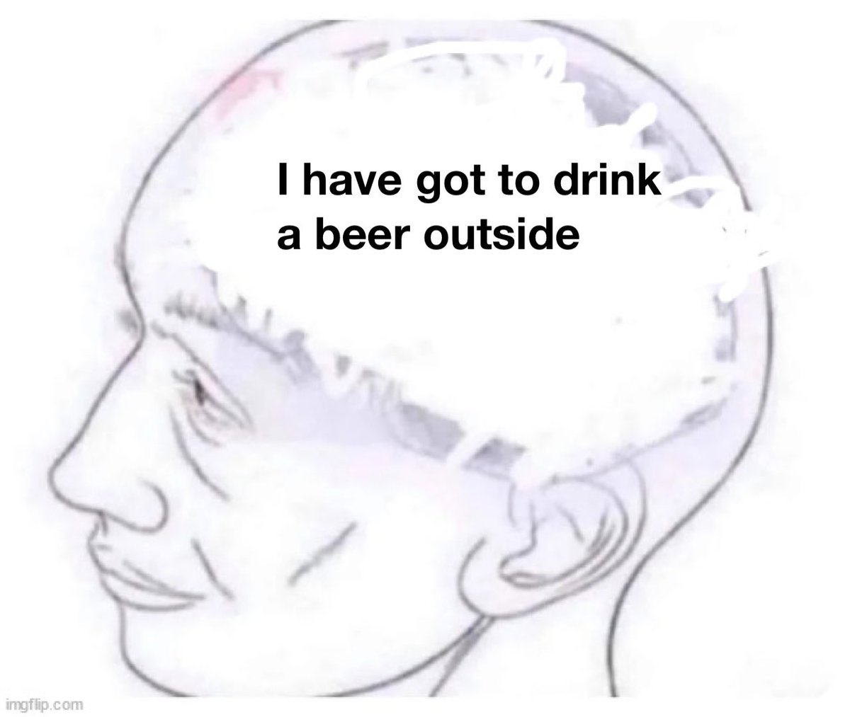 TwoTurtleDuffs's tweet image. Every day when the weather starts hitting 60 degrees consistently