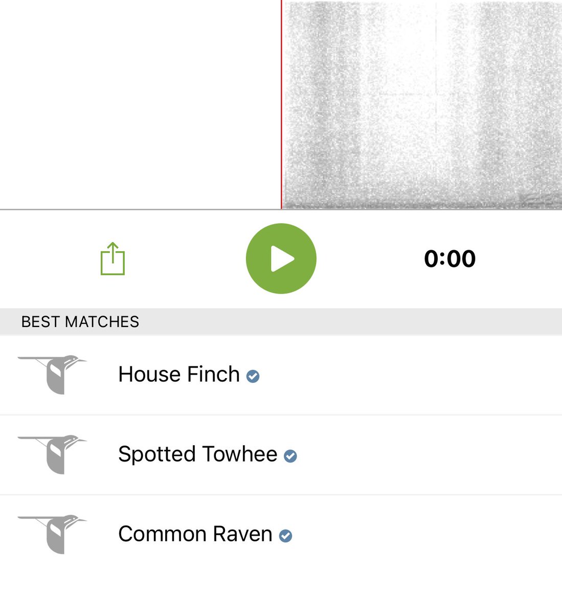 Today’s #10MinMerlin was more fun at work, as I suspected. Great day to have the window open listening for birds!