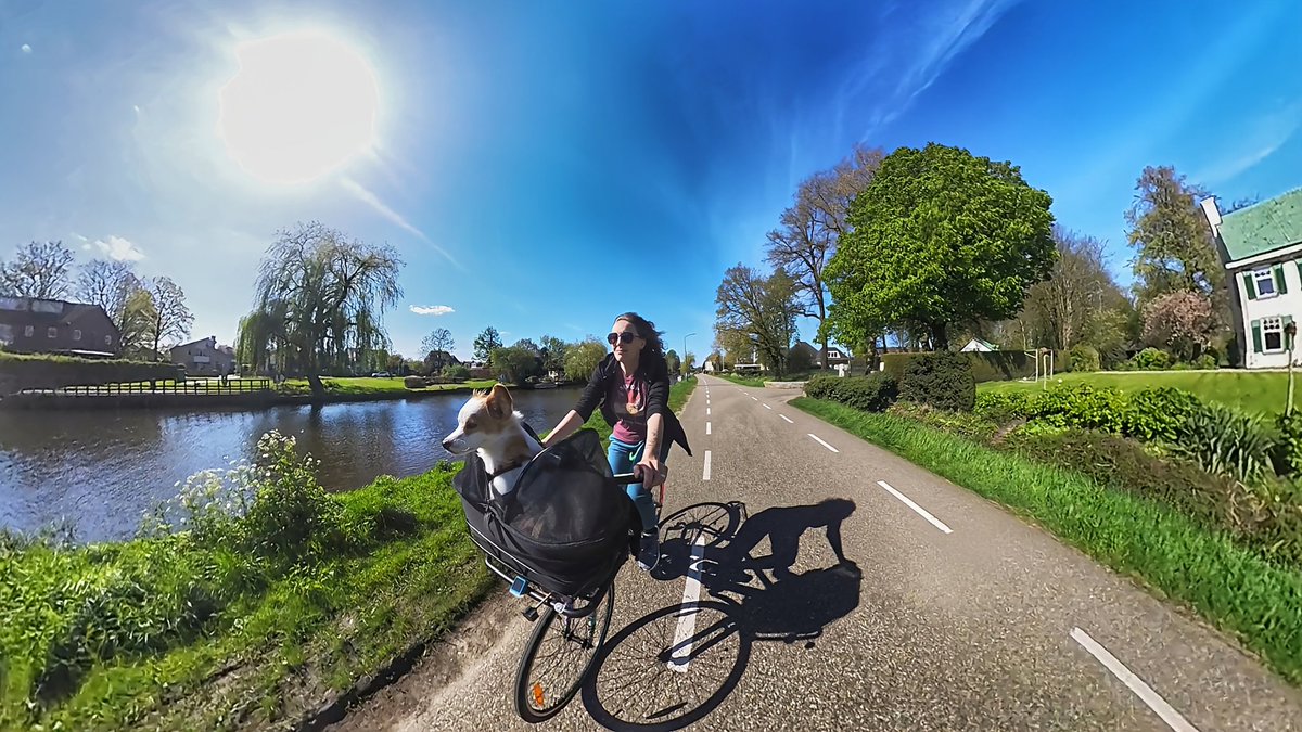 Life is better with dogs and bikes ❤️

And sunshine after rain ☀️

#NewCoverPic