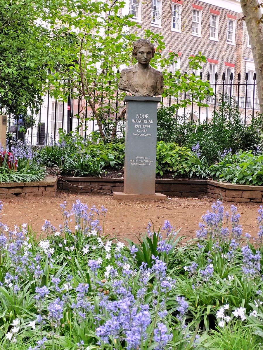 Dropped by to say hello to #NoorInayatKhan this afternoon. The #bluebells were out, and it all looked so pretty. The stand with the QR code was next to the memorial, put up by @CamdenCouncil last December. Just made me happy. 🙂