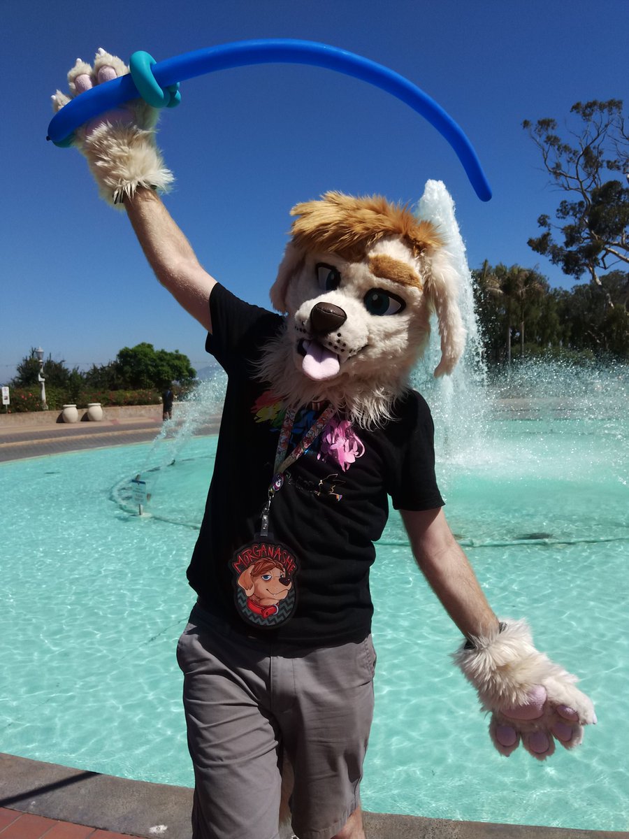 GoldDogFursuits's tweet photo. My first, second, and third fursuits.  Retired, but not forgotten. https://t.co/S16NhJlTra