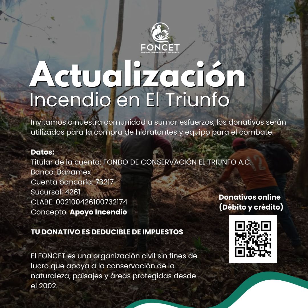 FONCET_AC's tweet photo. 📣🔥 Actualización sobre el #incendio en El Triunfo 🔥📣
Detección: Puntos de calor
Control: 95%
Liquidación: 85%
Superficie preliminar: 800 ha. 
(1/4) https://t.co/55DLujr4b3