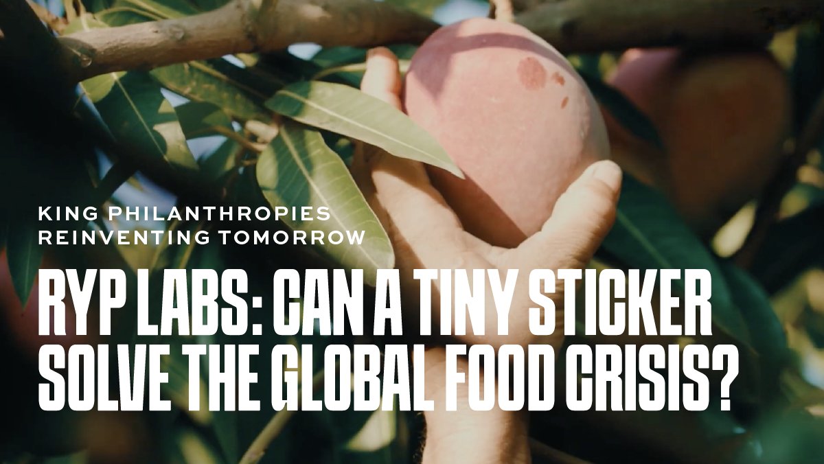 Ryp Labs fights food waste and climate change with a simple, powerful technology that extends the shelf life of fresh food. Watch their #climatesolutions story: kingphilanthropies.org/reinventing-to…