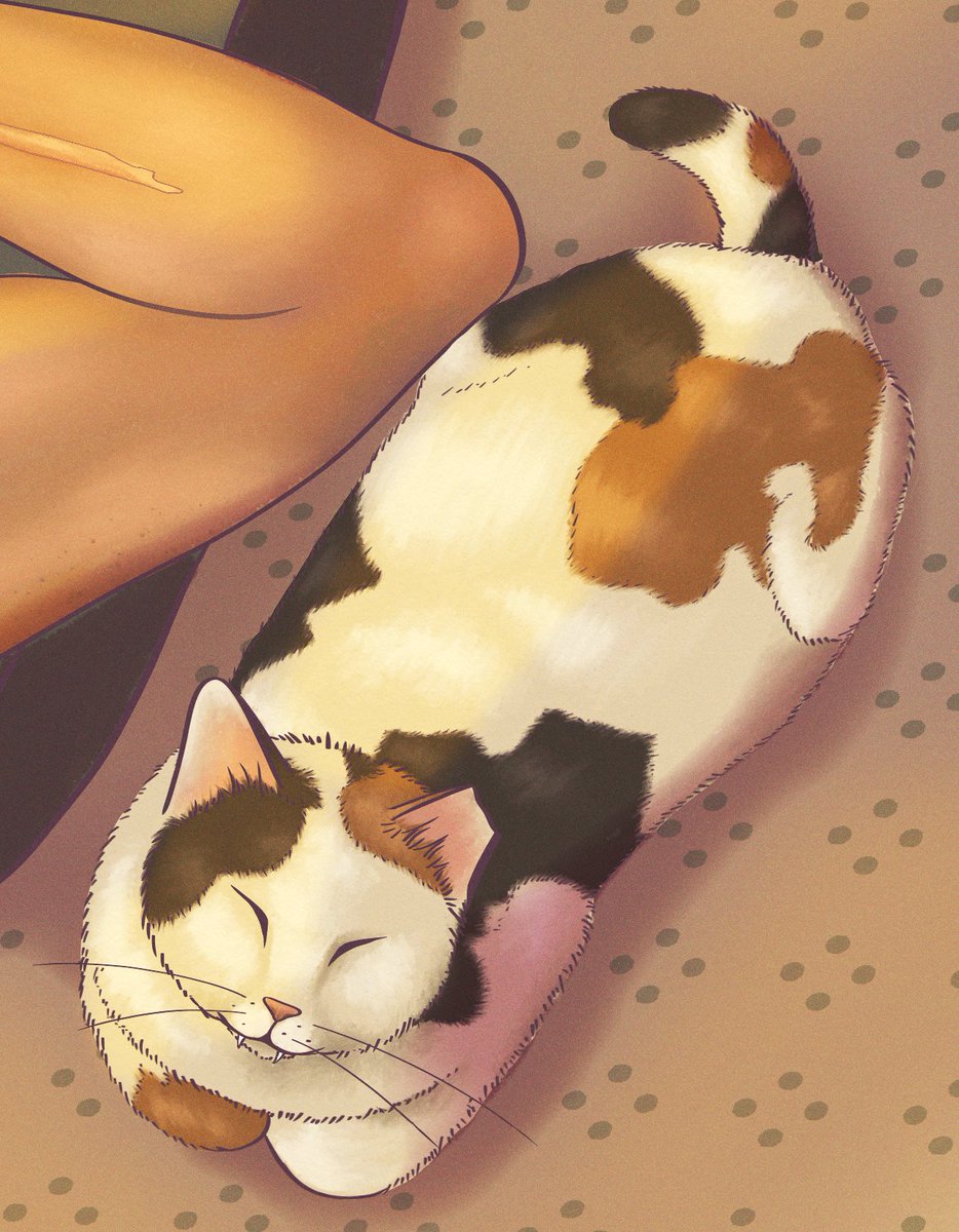 bunjeegumboy's tweet photo. Izuku and the cats from my fic <3 https://t.co/PxKQ6SObB7