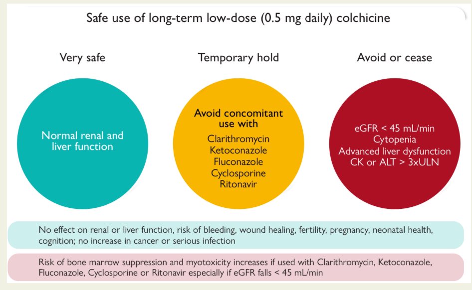 👉Low-dose colchicine for atherosclerosis: long-term safety ☝️When appropriately prescribed to patients without significant renal or hepatic impairment, reports of myelosuppression, myotoxicity, and serious drug–drug interactions are rare and no more frequent than placebo,…