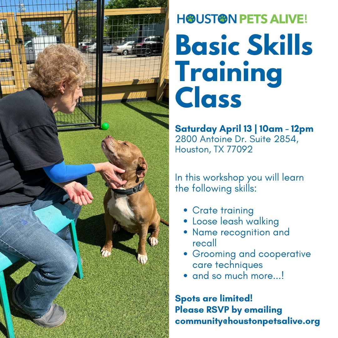 Our FREE Basic Skills Training Workshop is back! Join us Saturday, April 13th, 10am-noon. Learn crate training, loose leash walking, name recognition, grooming, & more! Bring your dog or just attend! RSVP: community@houstonpetsalive.org